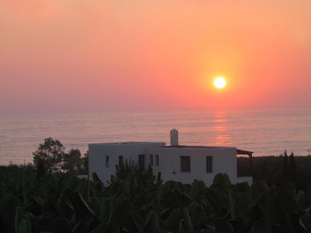 Banana Sunset βίλλες Βίλα Πάφος Εξωτερικό φωτογραφία